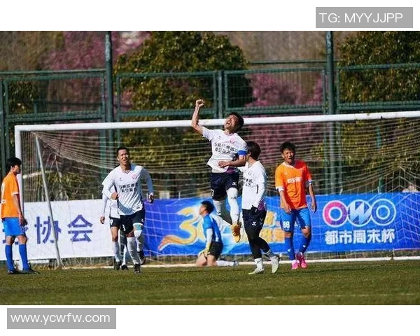 足球飞将展翅高飞勇夺冠军荣耀成就传奇人生